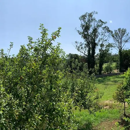 Casa Romar Grijoa